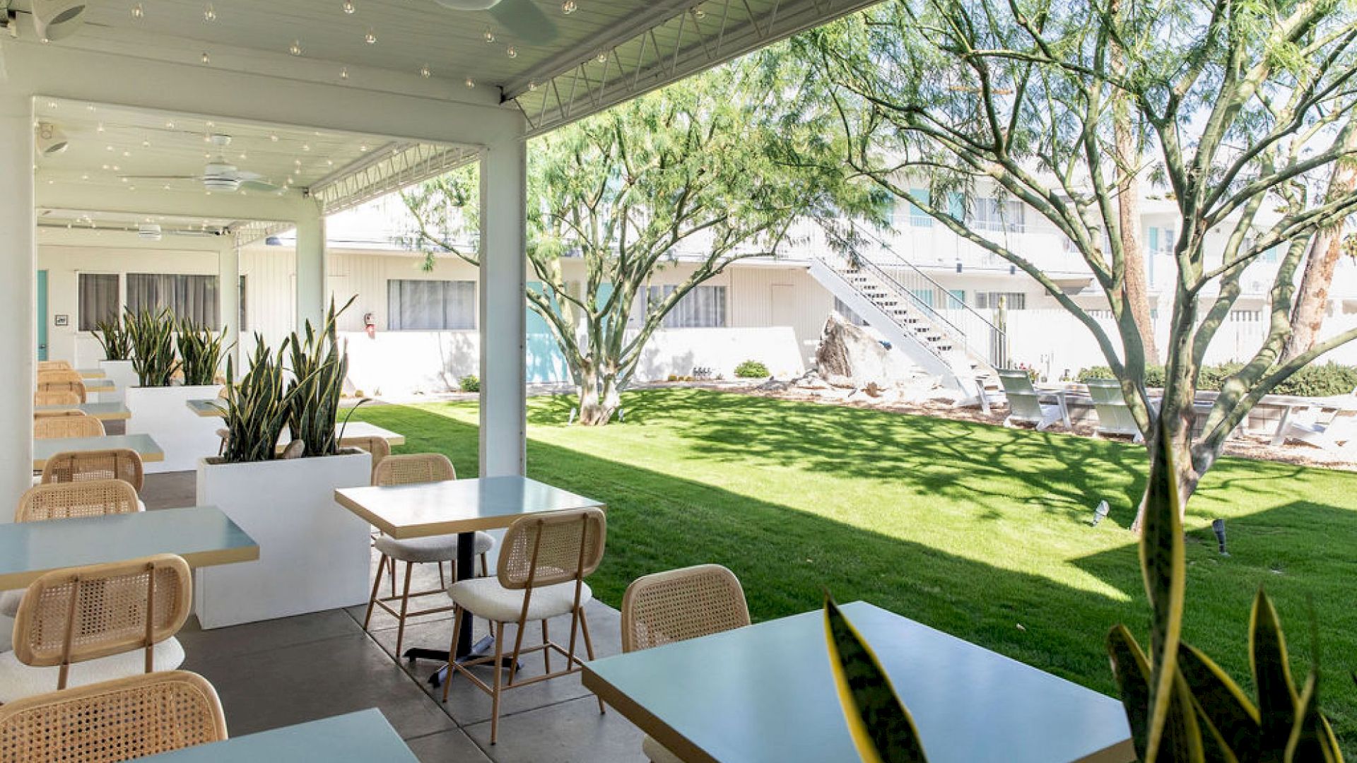 Outdoor seating area with tables and chairs, surrounded by plants, overlooking a green lawn with trees on a sunny day.