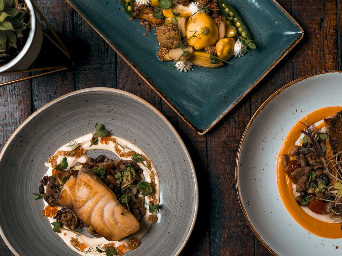 The image shows three gourmet dishes arranged on a dark wooden table, accompanied by a small potted plant. The meals seem to have intricate presentation.