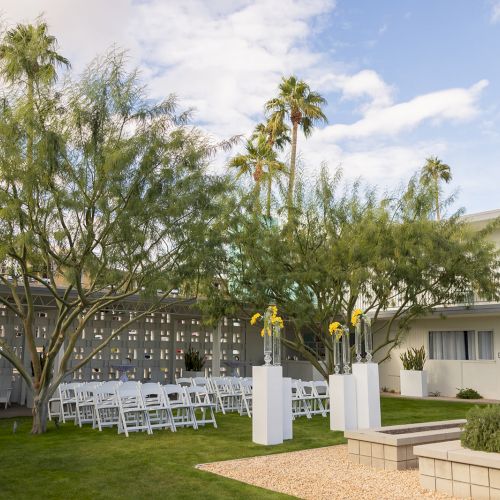 An outdoor event setup with white chairs arranged on grass, surrounded by palm trees and modern buildings under a partly cloudy sky.