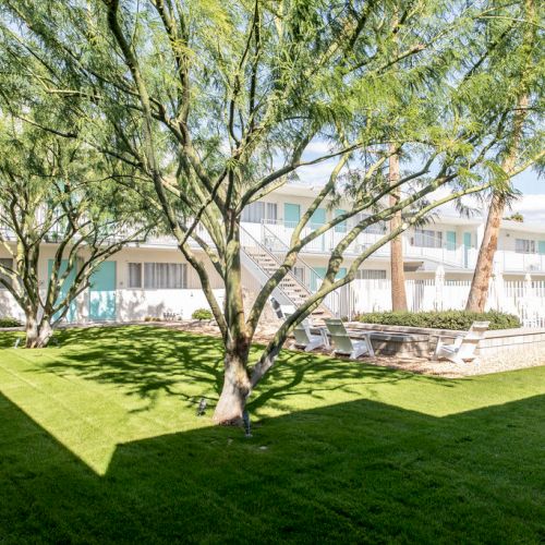 A courtyard with green grass, trees, and a white building in the background, under a clear sky, is shown in the image.