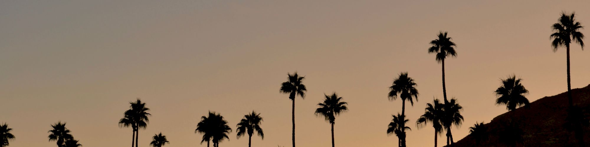 A scenic view features silhouetted palm trees against a backdrop of mountains at sunset, with a clear gradient sky.