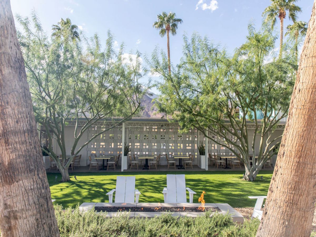 The image shows two white chairs on a lawn with trees and a building in the background, framed by two tall palm trees.