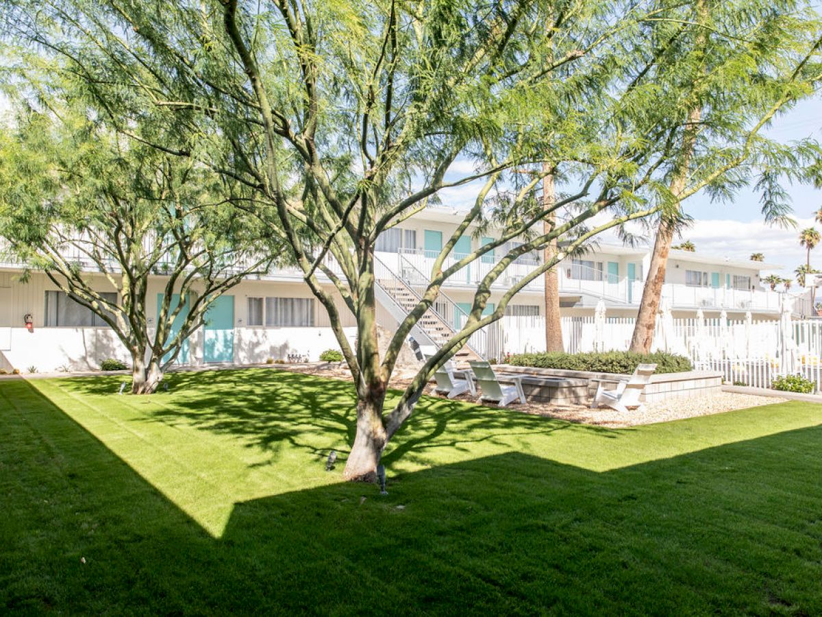 A lush green courtyard with trees, grass, and a building in the background under a bright sky.