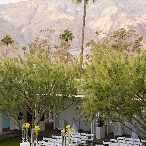 An outdoor event setup with white chairs, tall floral arrangements, and palm trees, set against a backdrop of mountains.