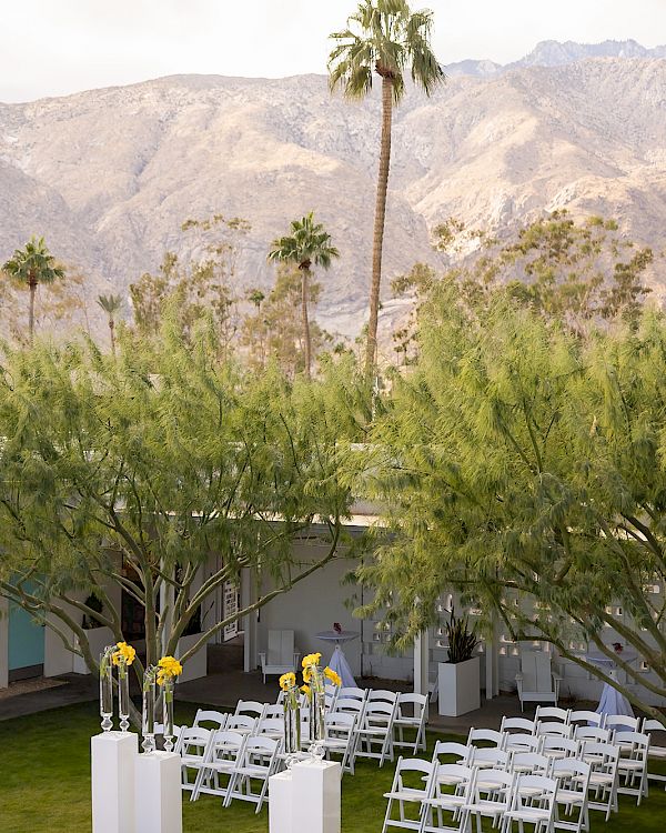 An outdoor event setup with white chairs, tall floral arrangements, and palm trees, set against a backdrop of mountains.